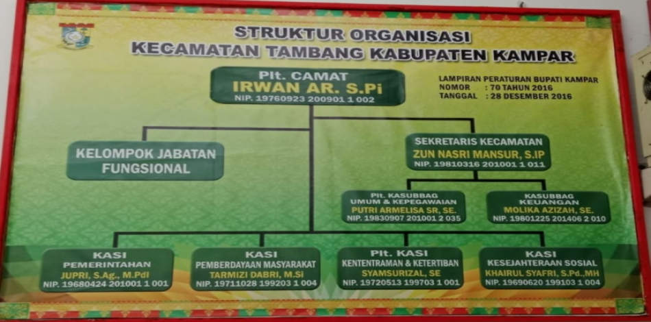 Struktur Organisasi